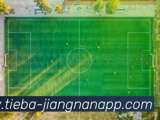 App Interface Preview